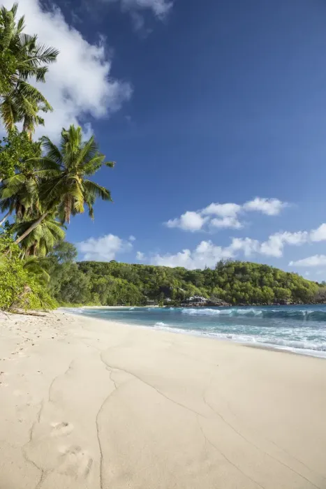 Framed Print : Palm trees and tropical beach, southern Mahe, Seychelles Framed Print : Palm trees and tropical beach, southern Mahe, Seychelles
