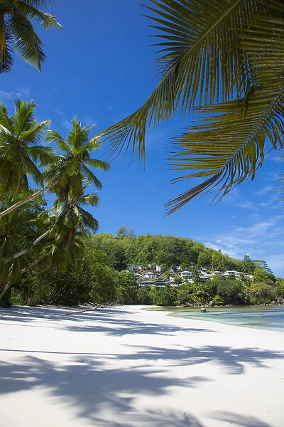Palm trees and tropical beach, southern Mahe, Seychelles