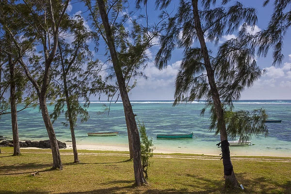 Palmar beach and Casuarina Trees, Flacq, East Coast, Mauritius