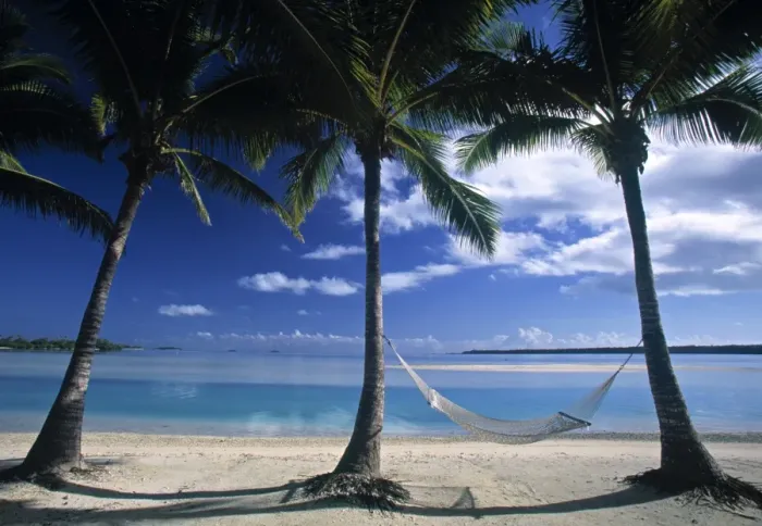 Framed Print : Palms and Hammock, Akitua Motu, Aitutaki, Cook Islands Framed Print : Palms and Hammock, Akitua Motu, Aitutaki, Cook Islands