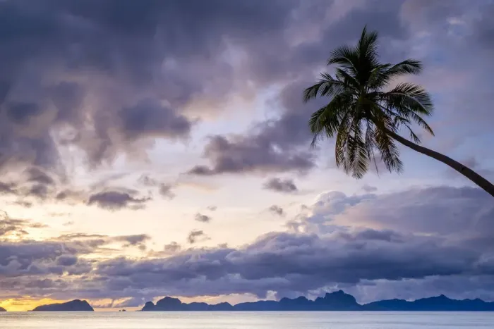 Framed Print : Palmtree at sunset on Dolarog Beach, El Nido, Palawan, Philippines Framed Print : Palmtree at sunset on Dolarog Beach, El Nido, Palawan, Philippines