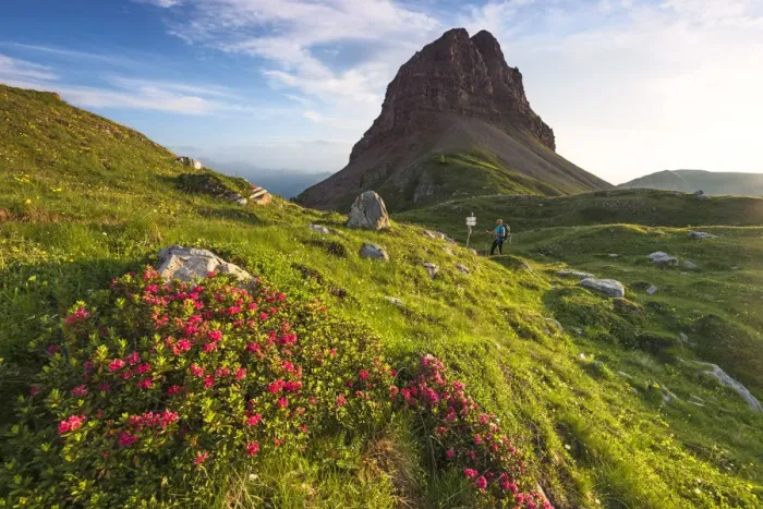Framed Print : Palon mountain in summer season Europe, Italy, Trentino, Non valley, Cles, Nana valley Framed Print : Palon mountain in summer season Europe, Italy, Trentino, Non valley, Cles, Nana valley
