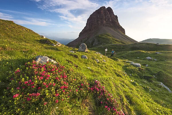 Palon mountain in summer season Europe, Italy, Trentino, Non valley, Cles, Nana valley