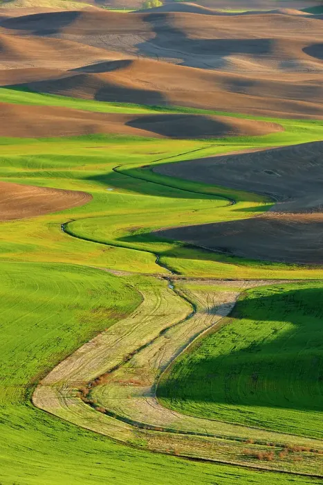 Framed Print : Palouse farmland in evening light in springtime, Steptoe Butte State Park, Washington, USA Framed Print : Palouse farmland in evening light in springtime, Steptoe Butte State Park, Washington, USA