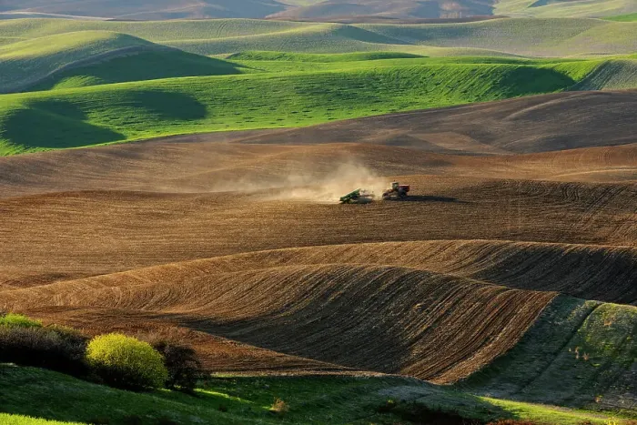 Framed Print : Palouse farmland in evening light in springtime, Steptoe Butte State Park, Washington, USA Framed Print : Palouse farmland in evening light in springtime, Steptoe Butte State Park, Washington, USA