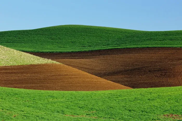 Framed Print : Palouse farmland in spring, near Palouse, Washington, USA