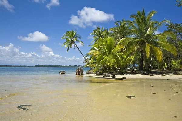 Panama, Bocas del Toro Province, Colon Island (Isla Colon) Boca Del Drago Beach