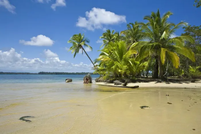 Framed Print : Panama, Bocas del Toro Province, Colon Island (Isla Colon) Boca Del Drago Beach Framed Print : Panama, Bocas del Toro Province, Colon Island (Isla Colon) Boca Del Drago Beach