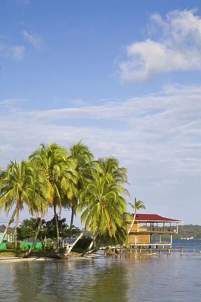 Panama, Bocas del Toro Province, Carenero Island (Isla Carenero)