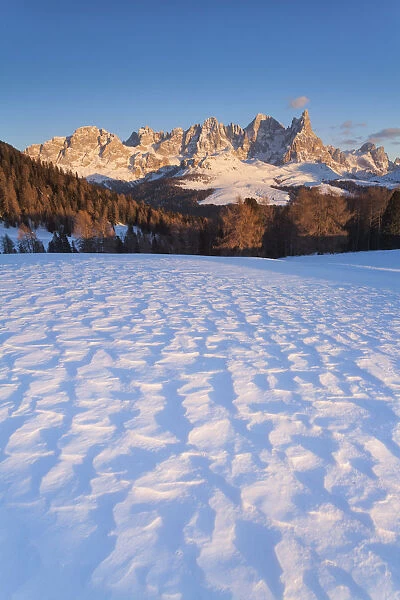 Paneveggio-Pale of San Martino natural park, Trentino Alto Adige, Italy