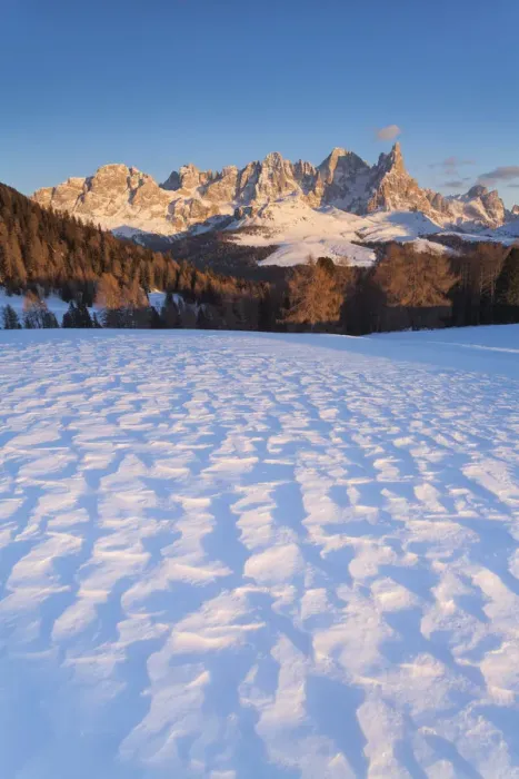 Framed Print : Paneveggio-Pale of San Martino natural park, Trentino Alto Adige, Italy Framed Print : Paneveggio-Pale of San Martino natural park, Trentino Alto Adige, Italy
