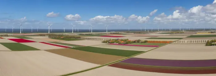 Framed Print : Panoramic aerial view of the tulip fields in North Holland, The Netherlands