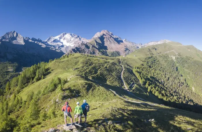 Framed Print : Panoramic of hikers at Scermendone Alp and Monte Disgrazia, Sondrio province, Valtellina