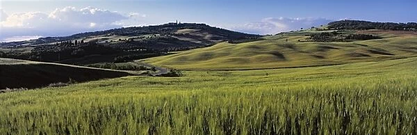 Panoramic Landscape near Pienza