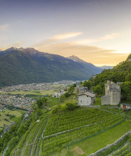 Panoramic of Rhaetian Costiera Dei Cech from vineyards to mountains, Valtellina