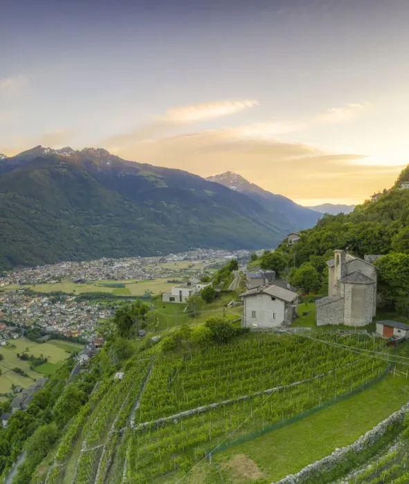 Framed Print : Panoramic of Rhaetian Costiera Dei Cech from vineyards to mountains, Valtellina Framed Print : Panoramic of Rhaetian Costiera Dei Cech from vineyards to mountains, Valtellina