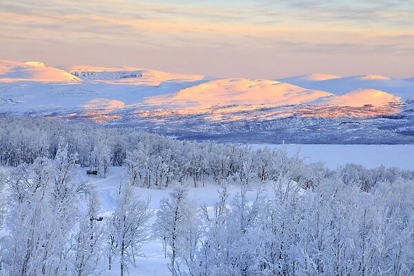Panoramic of sunrise on the snowy landscape, Bjorkliden, Abisko, Kiruna Municipality