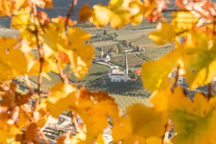 Framed Print : A panoramic view of Laces church from vineyards Framed Print : A panoramic view of Laces church from vineyards