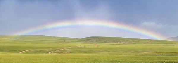 Panoramic view of a rainbow over the green Mongolian steppe. Ovorkhangai province