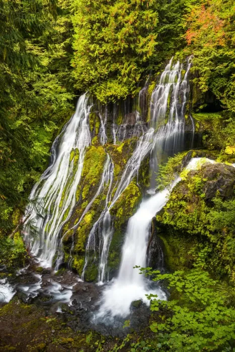 Framed Print : Panther Creek Falls, Gifford Pinchot National Forest, Washington, USA Framed Print : Panther Creek Falls, Gifford Pinchot National Forest, Washington, USA