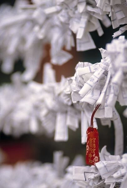Paper Wishes, Yasaka Shrine, Japan