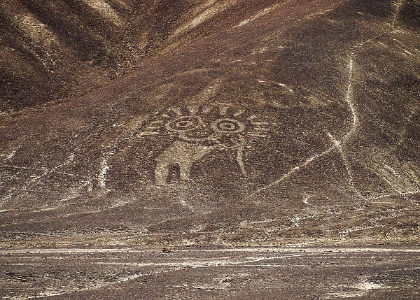 The Paracas Family Geoglyph, Palpa, Ica Region, Peru