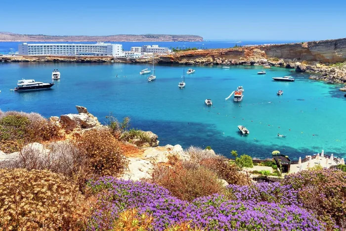 Framed Print : Paradise Bay Beach, Mellieha, Malta Framed Print : Paradise Bay Beach, Mellieha, Malta