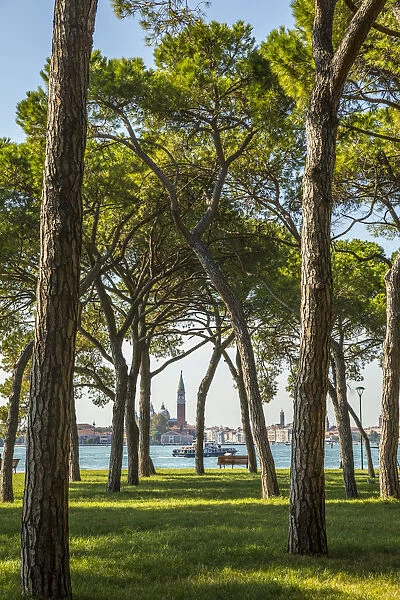 Parco delle Rimembranze, Sant Elena, Venice, Italy