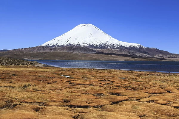 Parinacota Volcano and Chungara Lake in Lauca National Park, Arica & Parinacota Region