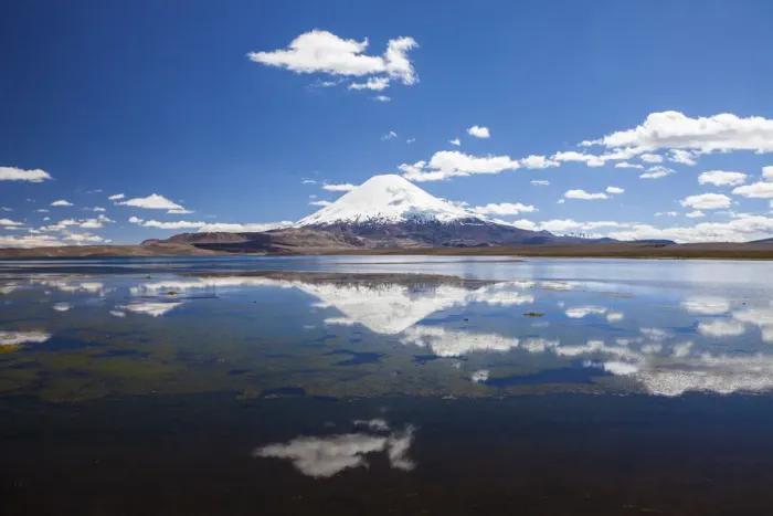 Framed Print : Parinacota Volcano reflected in Chungara Lake in Lauca National Park