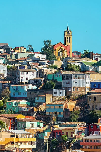 Parish St. Vicente de Paul amidst houses in city, Valparaiso, Valparaiso Province, Valparaiso Region, Chile