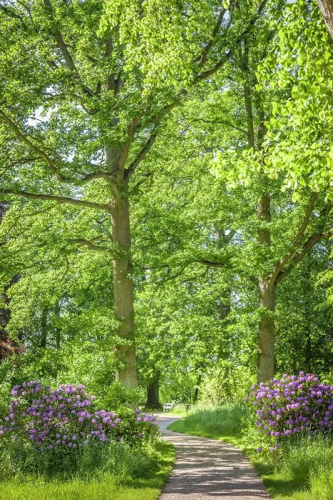 Framed Print : Park of Bothmer Castle in Klutz, Mecklenburg-West Pomerania, North Germany, Germany Framed Print : Park of Bothmer Castle in Klutz, Mecklenburg-West Pomerania, North Germany, Germany