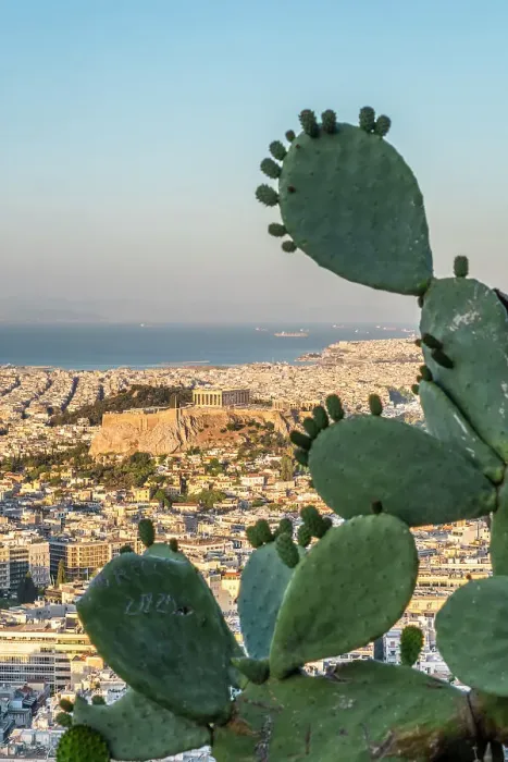 Framed Print : Parthenon on the Acroplis viewed from Lycabettus Hill, Athens, Greece