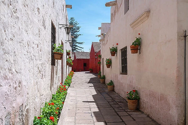 Passageway Calle Cordoba with plants at Monastery of Santa Catalina de Siena, UNESCO, Arequipa, Arequipa Province, Arequipa Region, Peru