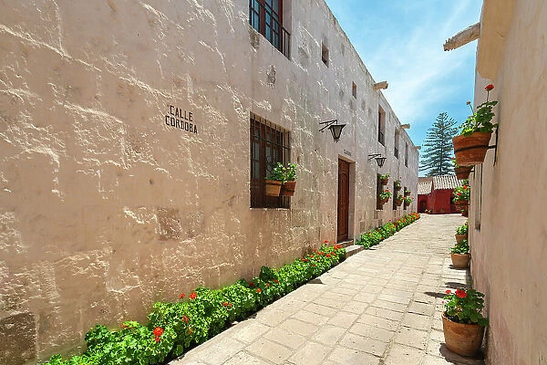 Passageway Calle Cordoba with plants at Monastery of Santa Catalina de Siena, UNESCO, Arequipa, Arequipa Province, Arequipa Region, Peru