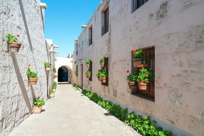 Framed Print : Passageway with plants at Monastery of Santa Catalina de Siena, UNESCO, Arequipa, Arequipa Province, Arequipa Region, Peru Framed Print : Passageway with plants at Monastery of Santa Catalina de Siena, UNESCO, Arequipa, Arequipa Province, Arequipa Region, Peru