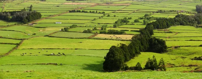 Framed Print : Pasture fields at Fontinhas. Terceira, Azores islands, Portugal