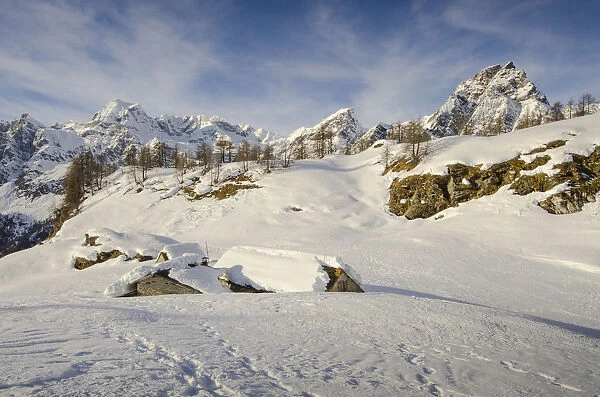 Pasture submerged by the snow (Devero, Ossola, Piedmont)