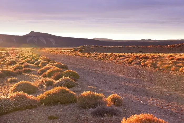 Framed Print : The Patagonian steppe at sunset, Bosques Petrificados de Jaramillo National Park, Santa Cruz, Deseado, Patagonia, Argentina