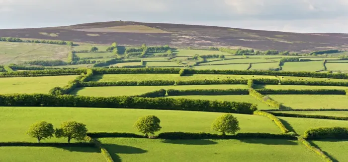 Framed Print : Patchwork rolling countryside below Dunkery Beacon, Exmoor, Somerset, England. Spring