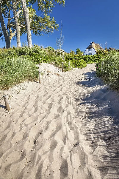 Path to the beach in Ahrenshoop, Mecklenburg-Western Pomerania, Northern Germany, Germany