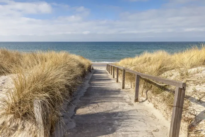 Framed Print : Path to the beach through the dunes in Dierhagen, Mecklenburg-Western Pomerania Framed Print : Path to the beach through the dunes in Dierhagen, Mecklenburg-Western Pomerania
