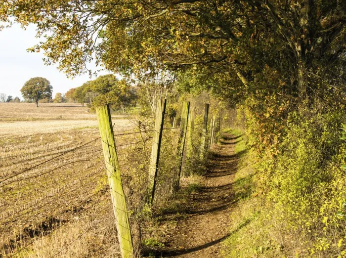 Framed Print : A path in Darlands Nature Reserve, Borough of Barnet, London, England Framed Print : A path in Darlands Nature Reserve, Borough of Barnet, London, England