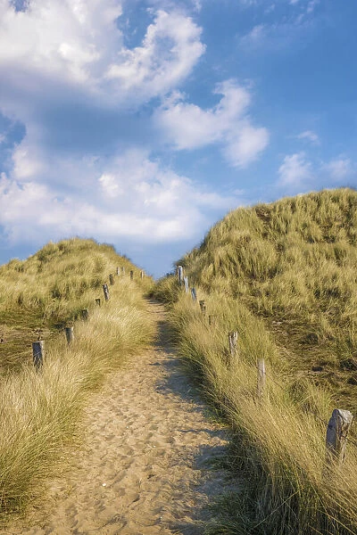 Path across the dune to the beach in the Ellenbogen nature reserve near List, Sylt