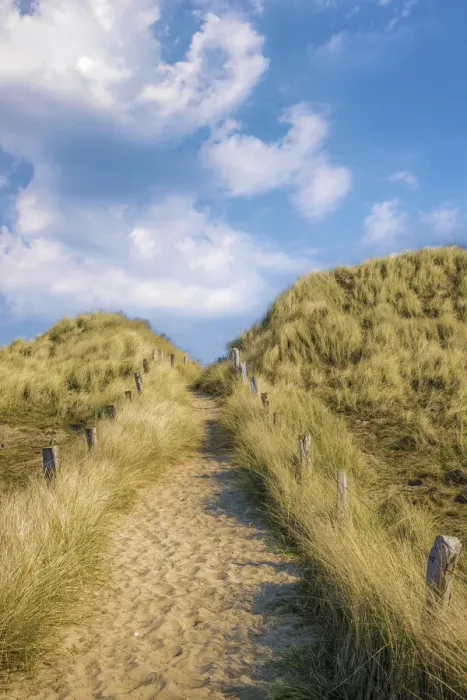 Framed Print : Path across the dune to the beach in the Ellenbogen nature reserve near List, Sylt Framed Print : Path across the dune to the beach in the Ellenbogen nature reserve near List, Sylt