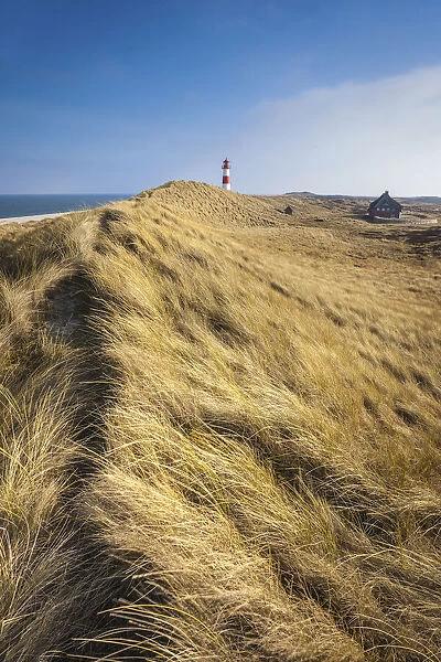 Path on the dune to the List-Ost lighthouse on the Ellenbogen Peninsula, Sylt