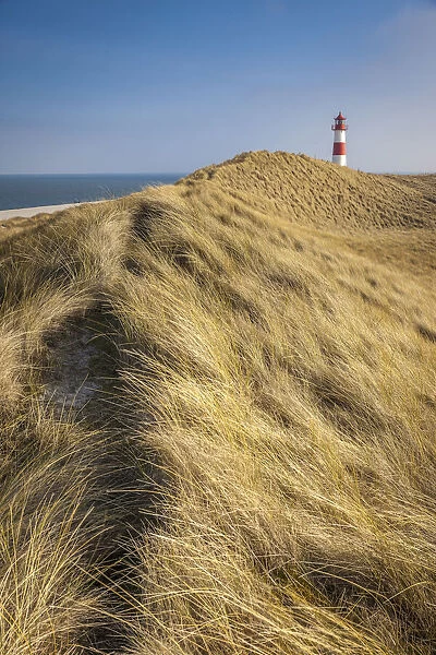 Path on the dune to the List-Ost lighthouse on the Ellenbogen Peninsula, Sylt