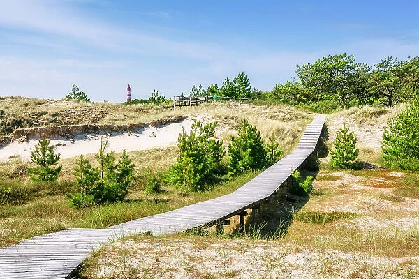 Path in dunes , Amrum island, National Park Schleswig-Holsteinisches Wattenmeer, Amrum island, North Sea, North Friesland, Germany, Europe