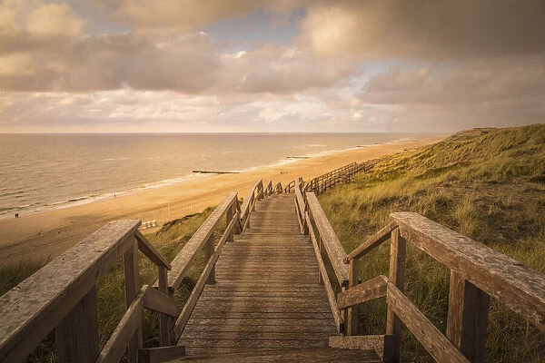 Path through the dunes and beach of Wenningstedt, Sylt, Schleswig-Holstein, Germany