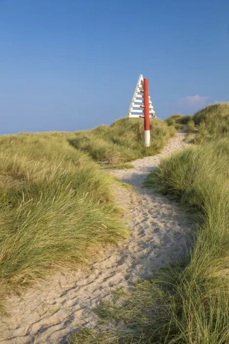 Framed Print : Path in the dunes in the Ellenbogen nature reserve near List, Sylt, Schleswig-Holstein Framed Print : Path in the dunes in the Ellenbogen nature reserve near List, Sylt, Schleswig-Holstein